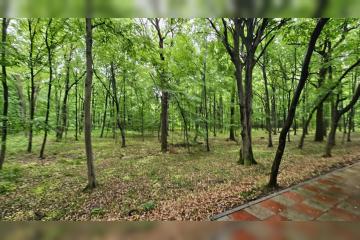 20250514_154013-Large.jpg
